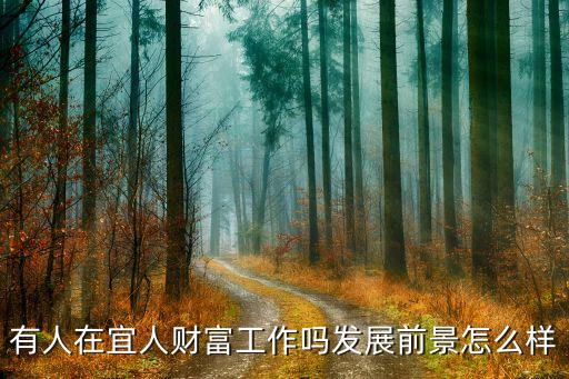 有人在宜人財(cái)富工作嗎發(fā)展前景怎么樣