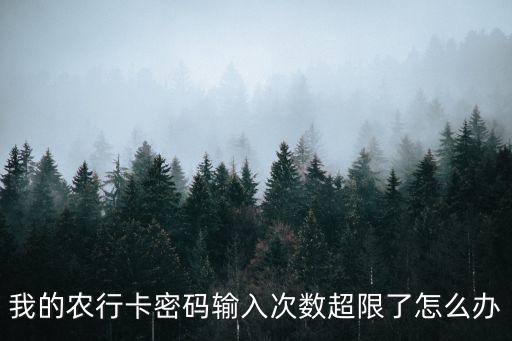 我的農(nóng)行卡密碼輸入次數(shù)超限了怎么辦