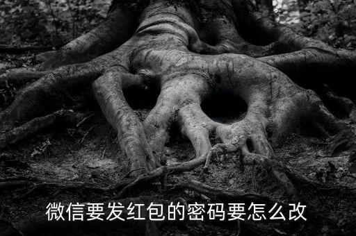 微信發(fā)紅包的密碼怎么改，微信要發(fā)紅包的密碼要怎么改