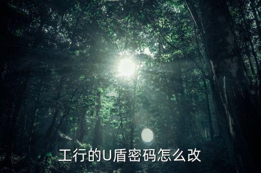 工行如何更改u盾密碼怎么辦理，工商銀行網(wǎng)上修改U盾密碼有哪些步驟