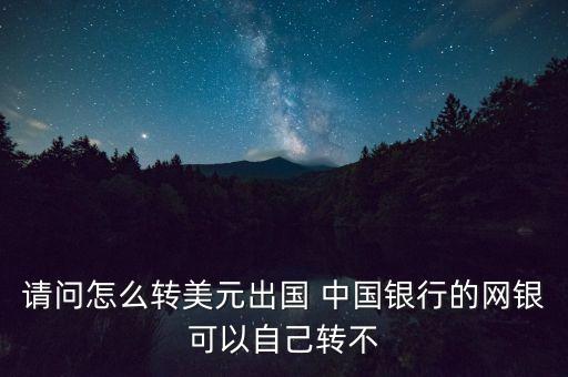 請問怎么轉(zhuǎn)美元出國 中國銀行的網(wǎng)銀可以自己轉(zhuǎn)不