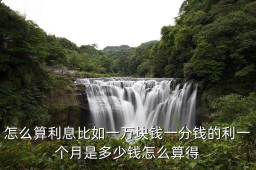 利息是怎么算得，利息怎么算