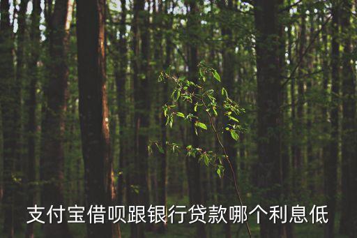 支付寶借唄跟銀行貸款哪個利息低