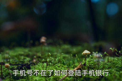 手機號不在了如何登陸手機銀行