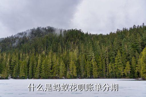 什么是螞蟻花唄賬單分期