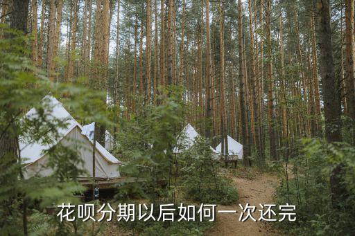 怎么一次還完花唄分期付款，花唄分期以后如何一次還完