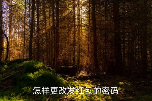 怎么改微信發(fā)紅包密碼怎么設(shè)置密碼，怎樣更改發(fā)紅包的密碼