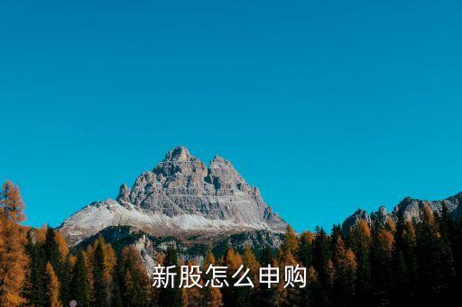 金鼎智贏怎么申購新股，金鼎智贏軟件怎樣申購新股