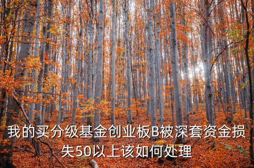 我的買分級基金創(chuàng)業(yè)板B被深套資金損失50以上該如何處理