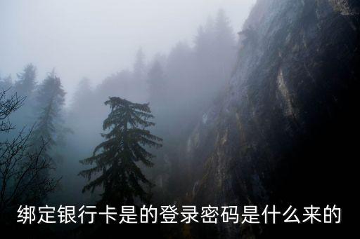 怎么查看銀行登錄密碼是什么原因，手機(jī)銀行的登錄密碼是怎么回事