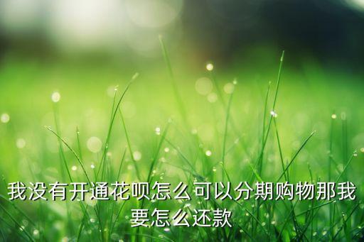 淘寶沒有花唄怎么分期，我沒有開通花唄怎么可以分期購物那我要怎么還款