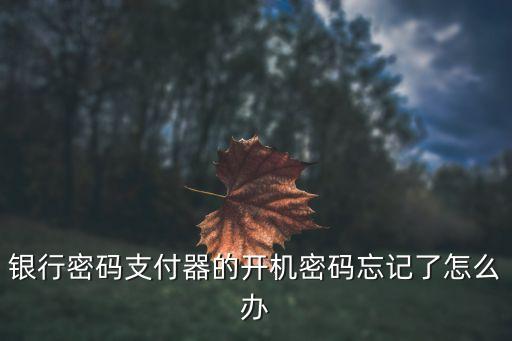 密碼支付器忘記了密碼怎么辦，銀行密碼支付器的開機密碼忘記了怎么辦