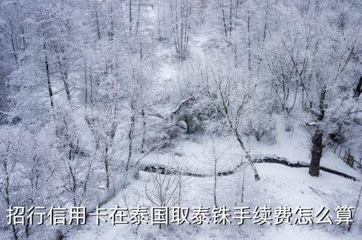 招行信用卡在泰國(guó)取泰銖手續(xù)費(fèi)怎么算