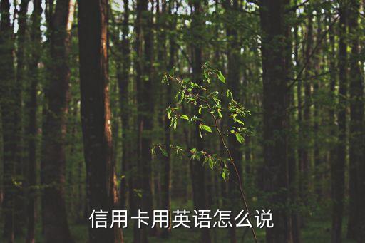 信用卡名字用英文怎么說，信用卡用英語怎么說