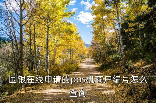 國銀在線申請的pos機商戶編號怎么查詢