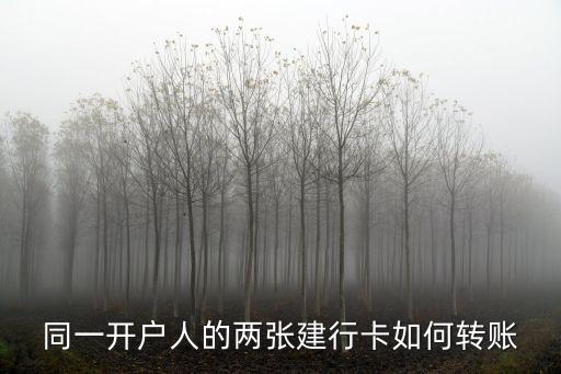 同一開戶人的兩張建行卡如何轉(zhuǎn)賬