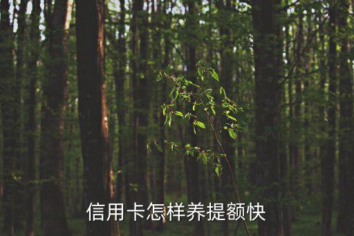 20萬(wàn)額度信用卡怎么養(yǎng)，各位大神請(qǐng)指教信用卡額度20萬(wàn)能做什么理財(cái)或者別的東西比較好