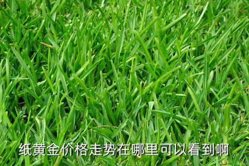 紙黃金價格走勢在哪里可以看到啊