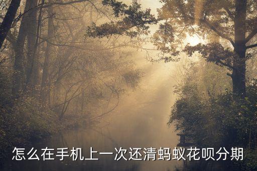 怎么在手機上一次還清螞蟻花唄分期