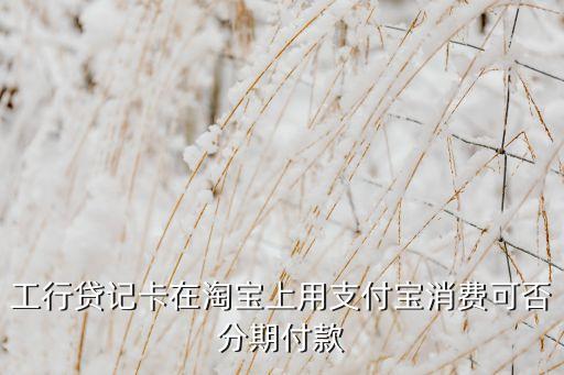工行貸記卡天貓消費(fèi)怎么賬單分期，工行貸記卡在淘寶上用支付寶消費(fèi)可否分期付款