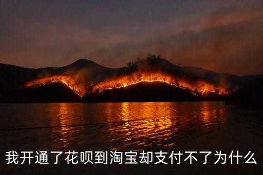 我開通了花唄到淘寶卻支付不了為什么