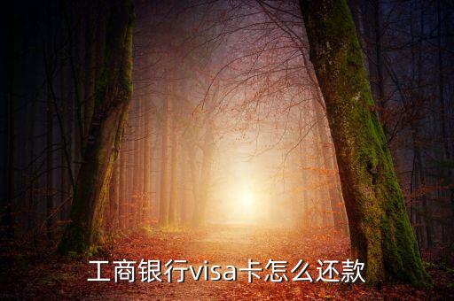 工行外幣信用卡怎么還，工商銀行visa卡怎么還款
