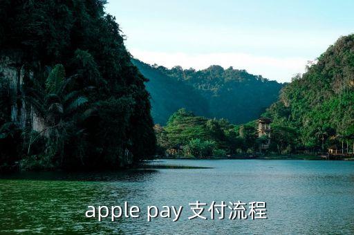 apple pay 支付流程