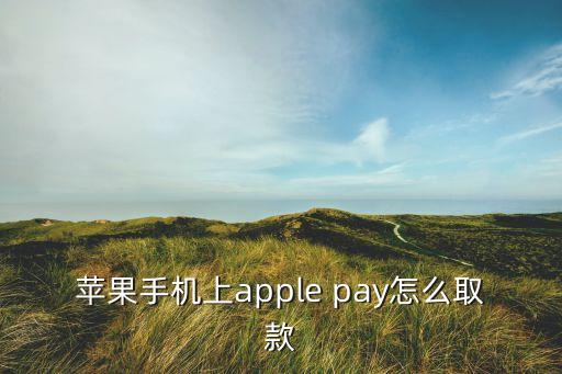 apple pay怎么取錢，蘋果手機上apple pay怎么取款