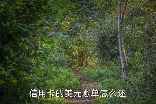 信用卡的美元賬單怎么還