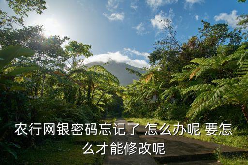 農(nóng)行網(wǎng)銀忘了怎么辦，農(nóng)行網(wǎng)上銀行密碼忘記怎么辦