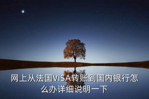 法國信用卡怎么轉(zhuǎn)賬到中國，網(wǎng)上從法國VISA轉(zhuǎn)賬到國內(nèi)銀行怎么辦詳細(xì)說明一下
