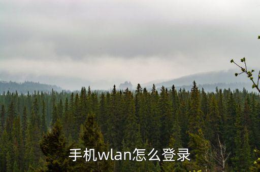 手機(jī)wlan怎么登錄