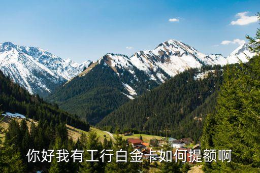 工行白金額度怎么提升額度嗎，工行白金卡信用額度怎么調(diào)