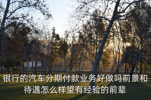 銀行的汽車分期付款業(yè)務好做嗎前景和待遇怎么樣望有經(jīng)驗的前輩