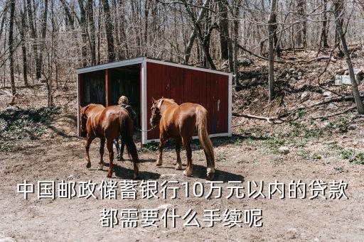 中國(guó)郵政儲(chǔ)蓄銀行10萬(wàn)元以內(nèi)的貸款都需要什么手續(xù)呢