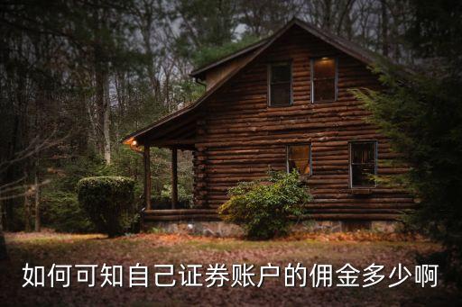 如何可知自己證券賬戶的傭金多少啊