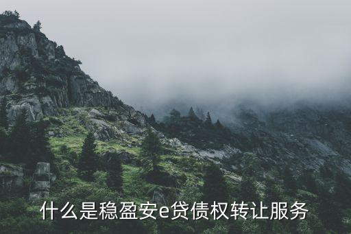 陸金所穩(wěn)贏安e怎么轉讓，什么是穩(wěn)盈安e貸債權轉讓服務