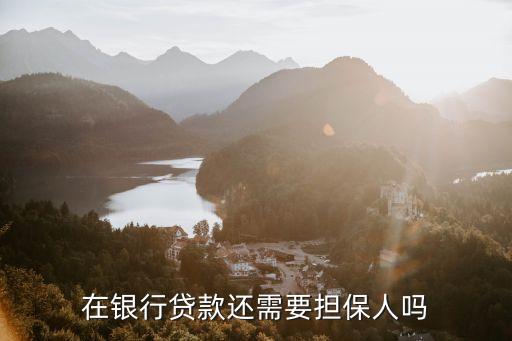 在銀行貸款還需要擔(dān)保人嗎