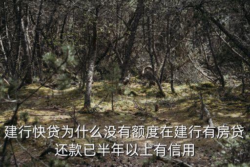 建行快貸為什么沒有額度在建行有房貸還款已半年以上有信用