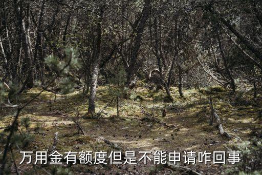 萬(wàn)用金怎么申請(qǐng)不了，萬(wàn)用金有額度但是不能申請(qǐng)咋回事