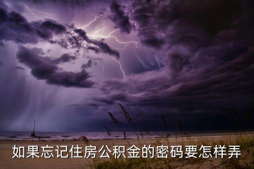 如果忘記住房公積金的密碼要怎樣弄
