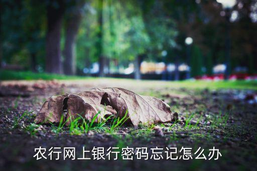 農(nóng)行網(wǎng)上銀行密碼忘記怎么辦