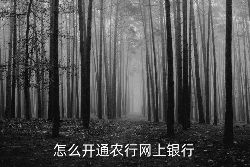 怎么注冊(cè)農(nóng)業(yè)網(wǎng)上銀行，怎么開(kāi)通農(nóng)行網(wǎng)上銀行