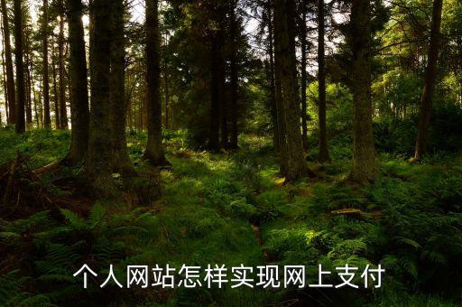 網(wǎng)站怎么實(shí)現(xiàn)在線支付，個(gè)人網(wǎng)站怎樣實(shí)現(xiàn)網(wǎng)上支付