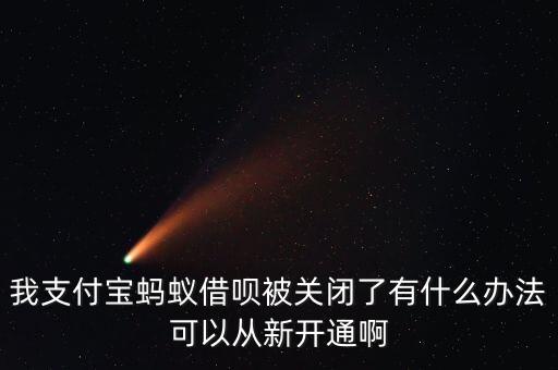 我支付寶螞蟻借唄被關(guān)閉了有什么辦法可以從新開(kāi)通啊