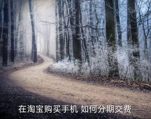手機淘寶怎么分期支付，在淘寶購買手機 如何分期交費
