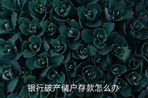 銀行破產(chǎn)儲(chǔ)戶存款怎么辦