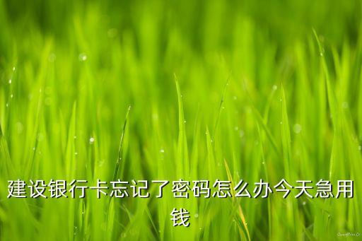 建行卡忘記密碼了怎么辦，我建設(shè)銀行密碼忘了怎么辦