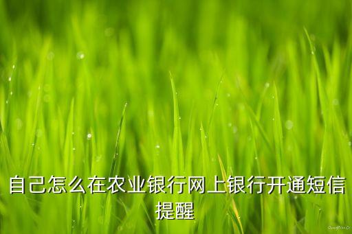 農(nóng)行網(wǎng)上銀行怎么開(kāi)通短信通，農(nóng)業(yè)銀行卡在手機(jī)上怎么開(kāi)通短信通