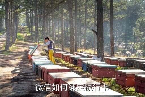 微信怎么注冊(cè)銀行卡綁定銀行卡嗎，微信如何綁定銀行卡